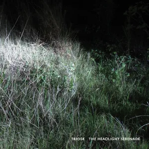 The headlight serenade